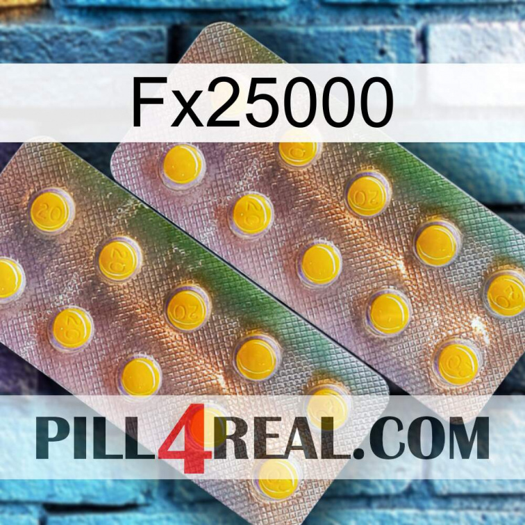 Fx25000 new10